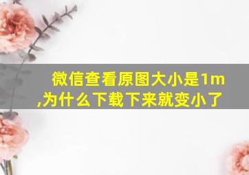 微信查看原图大小是1m,为什么下载下来就变小了