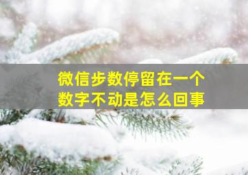 微信步数停留在一个数字不动是怎么回事