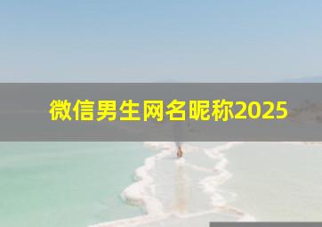 微信男生网名昵称2025