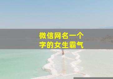 微信网名一个字的女生霸气