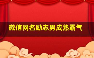 微信网名励志男成熟霸气