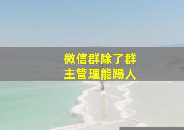 微信群除了群主管理能踢人