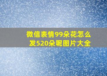 微信表情99朵花怎么发520朵呢图片大全