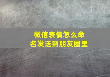 微信表情怎么命名发送到朋友圈里