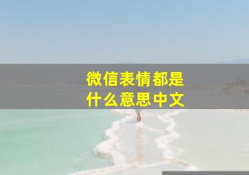 微信表情都是什么意思中文