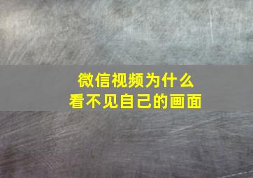 微信视频为什么看不见自己的画面