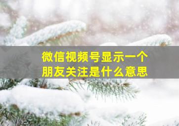 微信视频号显示一个朋友关注是什么意思