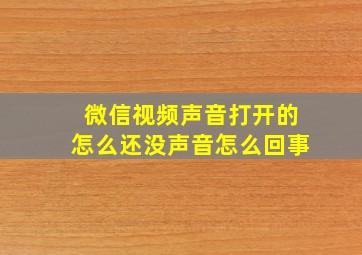 微信视频声音打开的怎么还没声音怎么回事