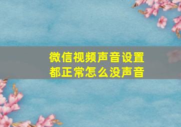 微信视频声音设置都正常怎么没声音