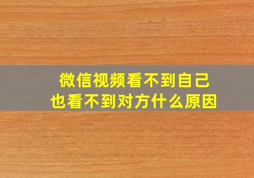 微信视频看不到自己也看不到对方什么原因