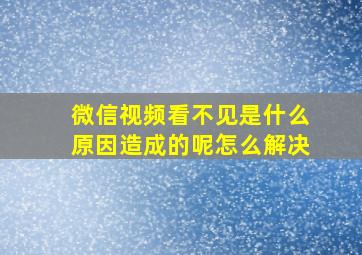 微信视频看不见是什么原因造成的呢怎么解决