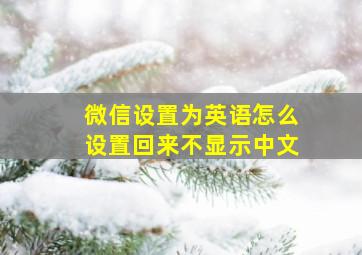 微信设置为英语怎么设置回来不显示中文