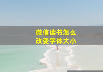 微信读书怎么改变字体大小