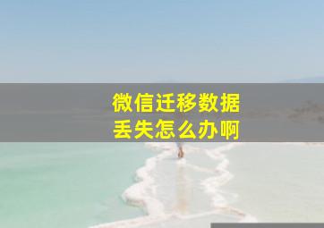 微信迁移数据丢失怎么办啊