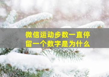 微信运动步数一直停留一个数字是为什么