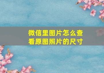 微信里图片怎么查看原图照片的尺寸