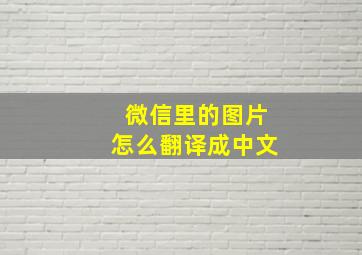 微信里的图片怎么翻译成中文