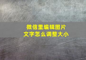 微信里编辑图片文字怎么调整大小