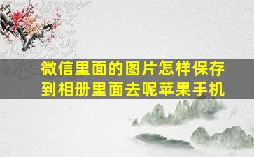 微信里面的图片怎样保存到相册里面去呢苹果手机