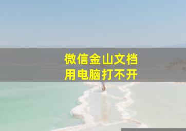 微信金山文档用电脑打不开