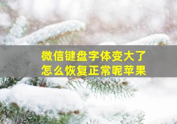 微信键盘字体变大了怎么恢复正常呢苹果