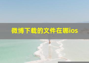 微博下载的文件在哪ios