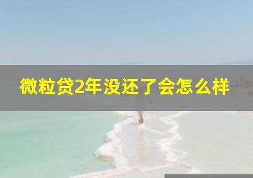 微粒贷2年没还了会怎么样