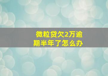 微粒贷欠2万逾期半年了怎么办