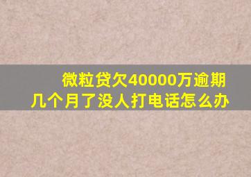 微粒贷欠40000万逾期几个月了没人打电话怎么办