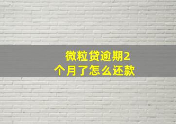 微粒贷逾期2个月了怎么还款