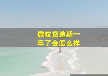 微粒贷逾期一年了会怎么样