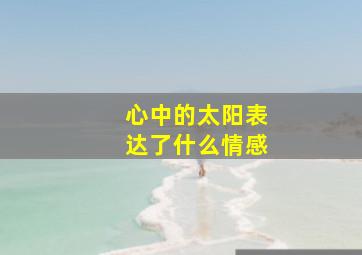 心中的太阳表达了什么情感