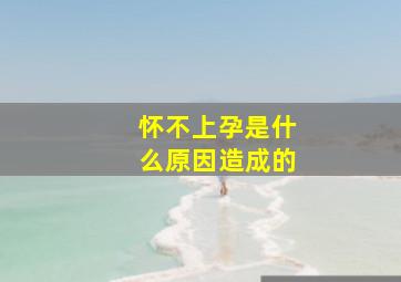 怀不上孕是什么原因造成的