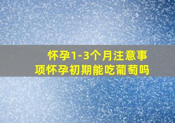 怀孕1-3个月注意事项怀孕初期能吃葡萄吗