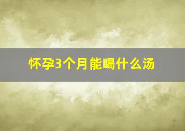 怀孕3个月能喝什么汤