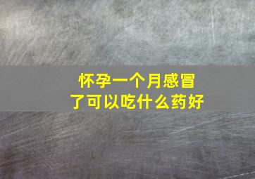 怀孕一个月感冒了可以吃什么药好