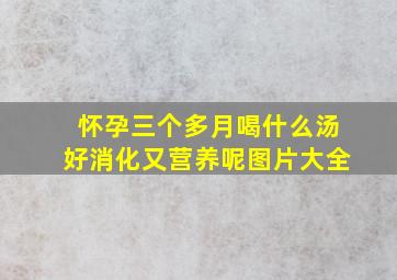 怀孕三个多月喝什么汤好消化又营养呢图片大全