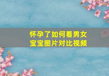 怀孕了如何看男女宝宝图片对比视频