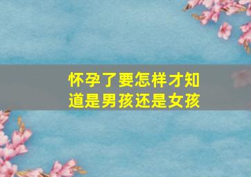 怀孕了要怎样才知道是男孩还是女孩