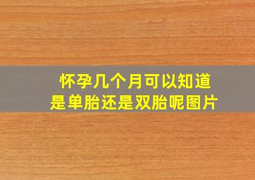 怀孕几个月可以知道是单胎还是双胎呢图片