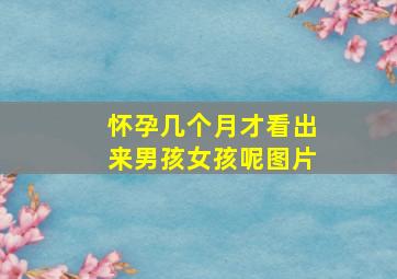 怀孕几个月才看出来男孩女孩呢图片