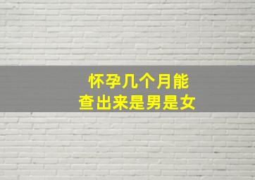 怀孕几个月能查出来是男是女