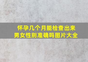 怀孕几个月能检查出来男女性别准确吗图片大全