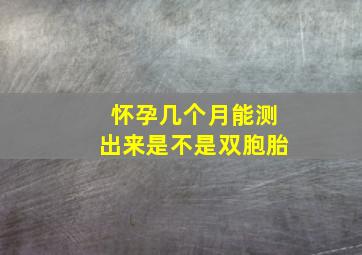 怀孕几个月能测出来是不是双胞胎