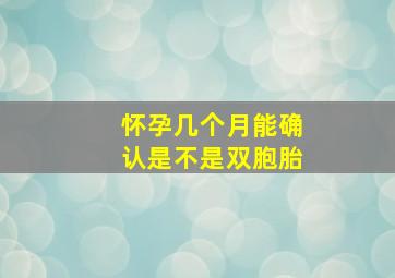 怀孕几个月能确认是不是双胞胎