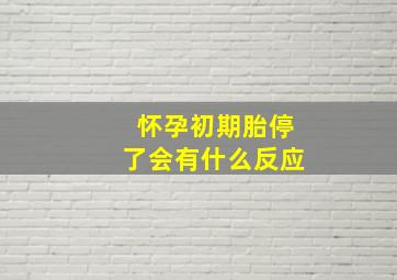 怀孕初期胎停了会有什么反应