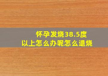 怀孕发烧38.5度以上怎么办呢怎么退烧