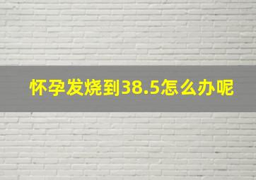 怀孕发烧到38.5怎么办呢