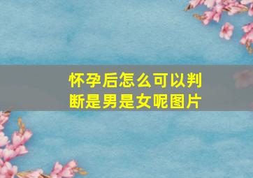 怀孕后怎么可以判断是男是女呢图片