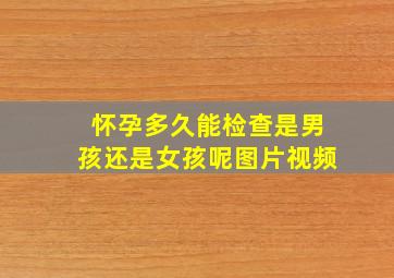 怀孕多久能检查是男孩还是女孩呢图片视频